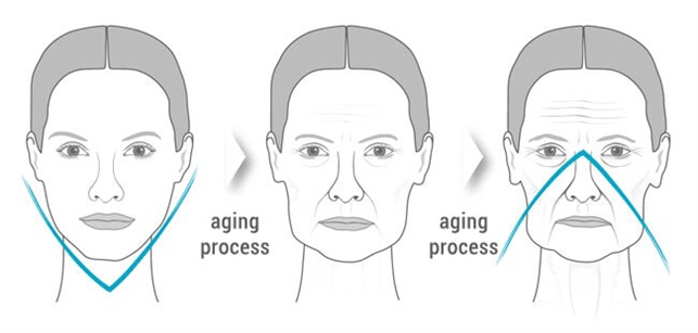 L'ovale Du Visage L'ovale du visage