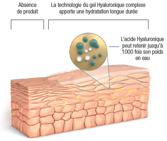 Acide Hyaluronique schéma Acide Hyaluronique schéma
